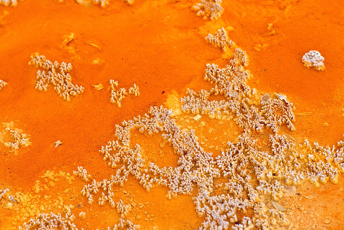 Detail,Champagne Pool mit orangefarbigen Sediment,Sinternadeln,Mineralien und Kohlendioxid Gasblasen,Ablagerung,Waio-tapu Thermal Park bei Rotorua,Nordinsel,Neuseeland