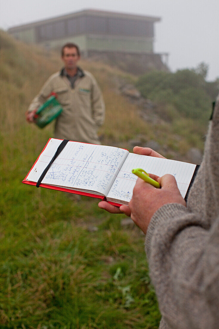 Zwei DOC-Ranger des Royal Albatross Centre prüfen das Gewicht der Küken,Gewichtskontrolle,handschriftliche Notizen in Notizblock,Albatrosküken,Taiaroa Head,Otago,Südinsel,Neuseeland