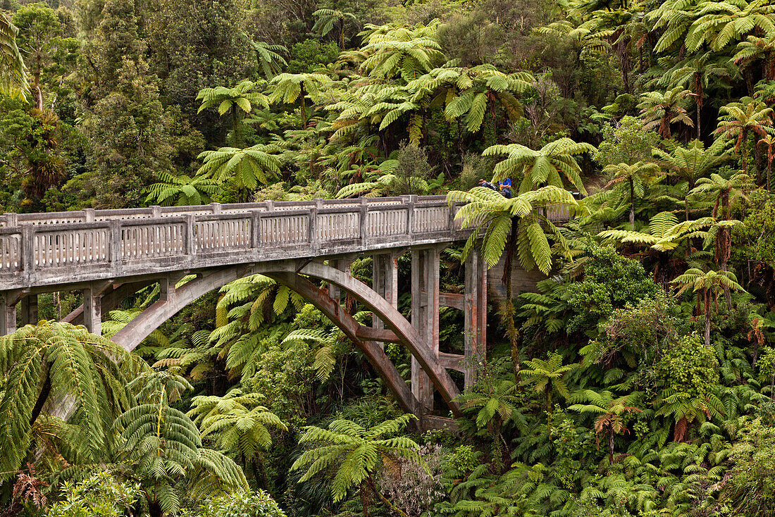 blocked for illustrated books in Germany, Austria, Switzerland: Bridge to Nowhere, a concrete road bridge with no road leading to it, tree ferns, walking track, Whanganui River, North Island, New Zealand