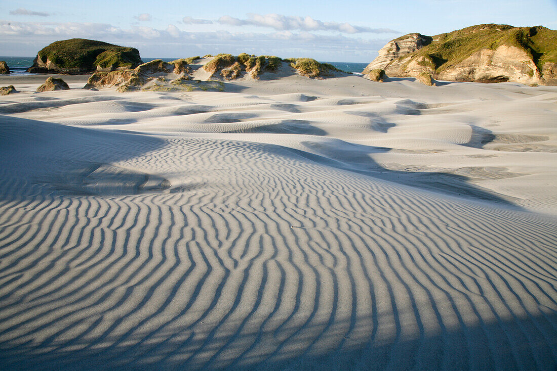 wellenförmige Sandformationen,Dünenlandschaft und Strandgras am Wharariki Strand,Westküste,Neuseeland