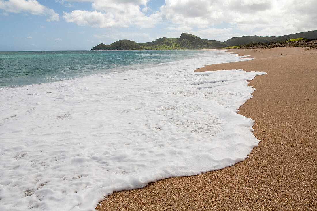 Leerer Strand mit goldenen Sand, Brandung, Meeresschaum, Nordinsel, Neuseeland