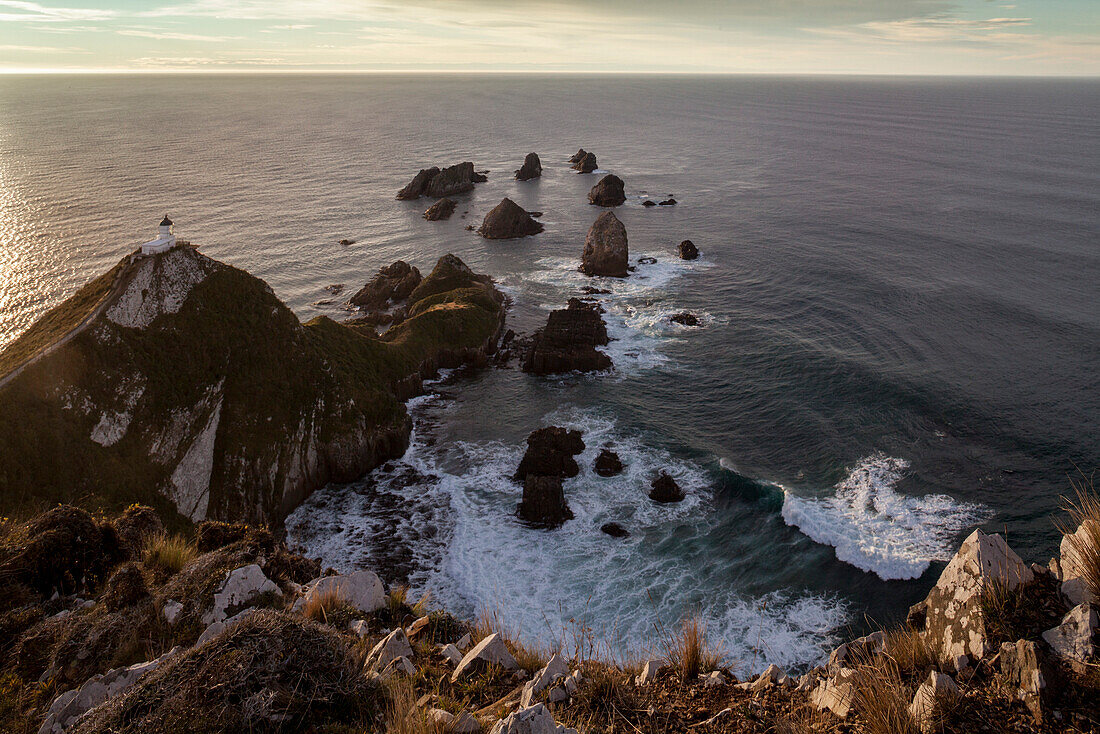 Lighthouse at Nugget Point, ocean view above lighthouse and cliffs, Catlins, Otago, South Island, New Zealand