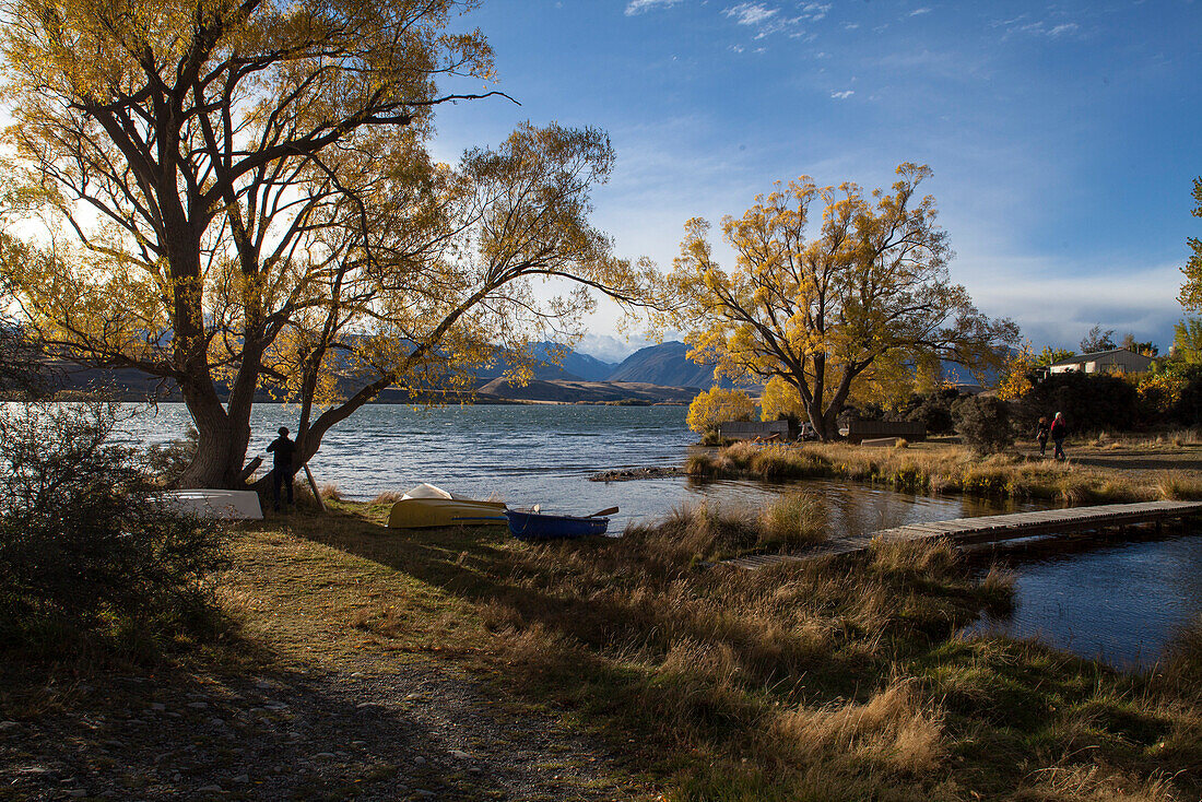 Autumn at Lake Alexandrina with rowing boats along the shore, Wildlife Refuge, Canterbury, South Island, New Zealand