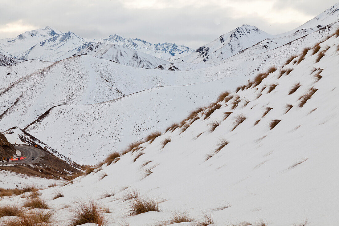 Tussock grass in snow, mountain scenery, Lindis Pass, Otago, South Island, New Zealand