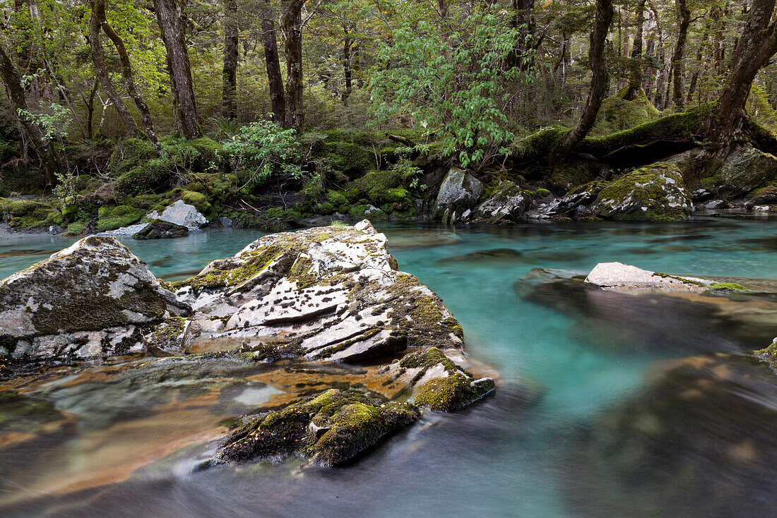 Fluss am Routeburn Wanderweg,türkisfarbenes klares Wasser,Mount Aspiring National Park,Fiordland National Park,Südinsel,Neuseeland
