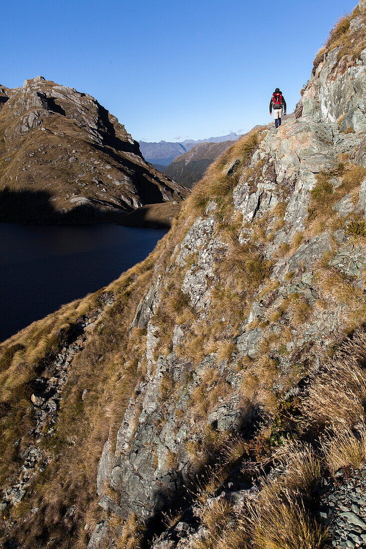 Hiker on the Routeburn Track at Lake Harris, Great Walk, Mount Aspiring National Park, Fiordland National Park, South Island, New Zealand