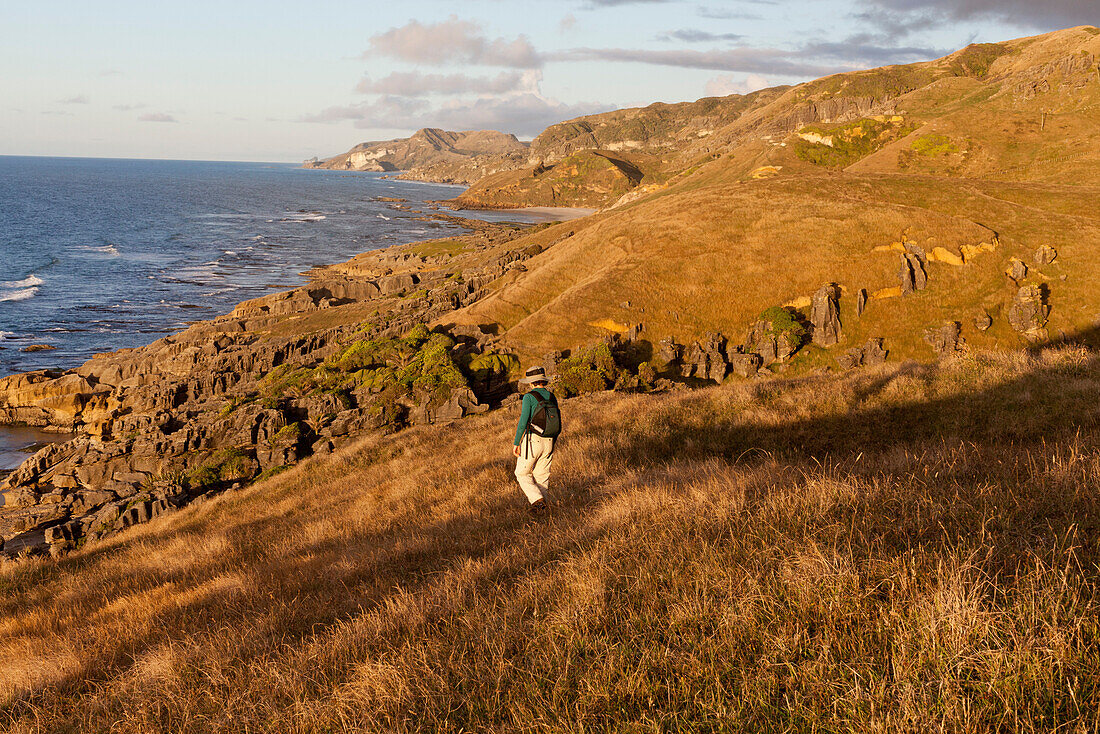 Wanderer geht entlang der Küste, Warmes Sonnenlicht der Abendsonne, Te Hapu Westküste, Tasman Region, Südinsel, Neuseeland