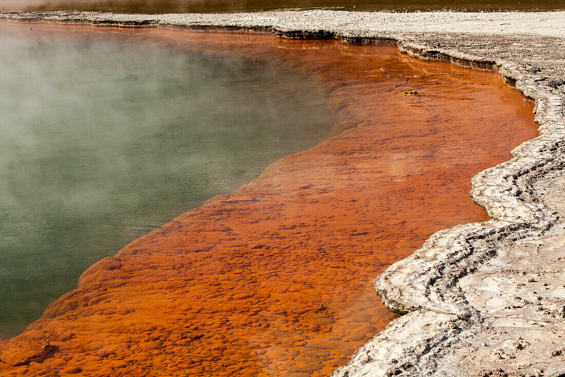 Champagne Pool,Waio-tapu Kratersee,Thermalpark bei Rotorua,Kohlendioxyd-Gasblasen,Mineralien,Rotorua,North Island,Neuseeland