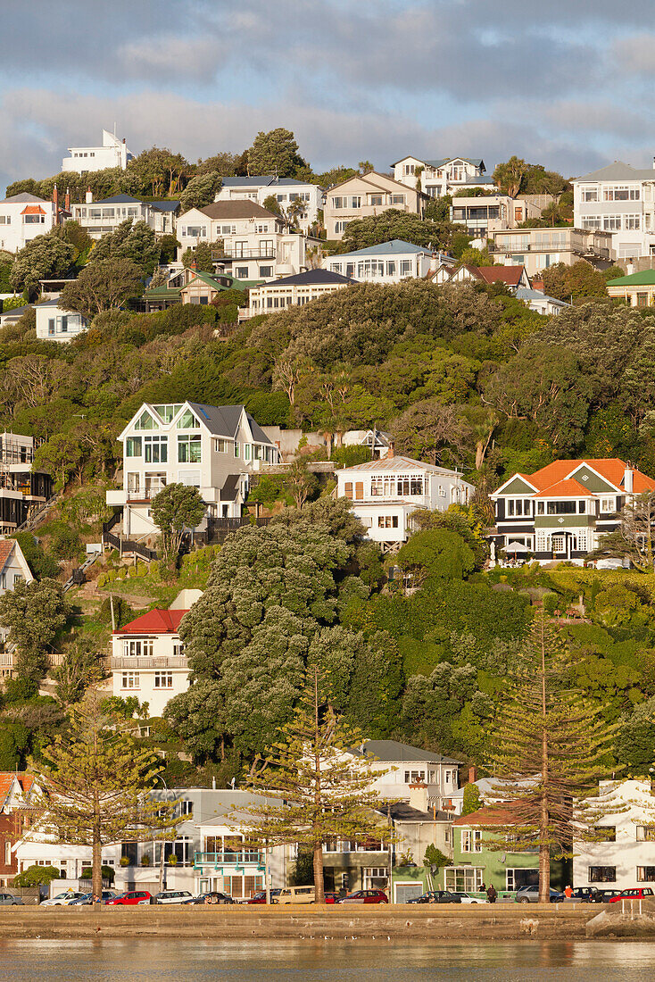 Historic timber houses on the waterfront, Wellington, North Island, New Zealand
