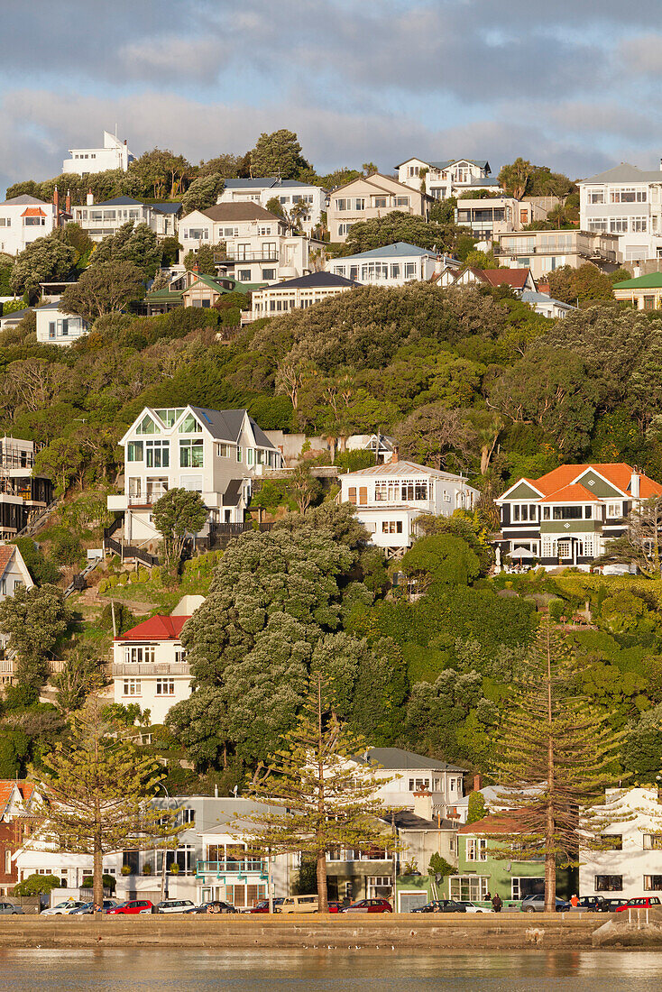 Historische Holzhäuser an den Steilhängen des Wellington Harbour, Wellington, Nordinsel, Neuseeland