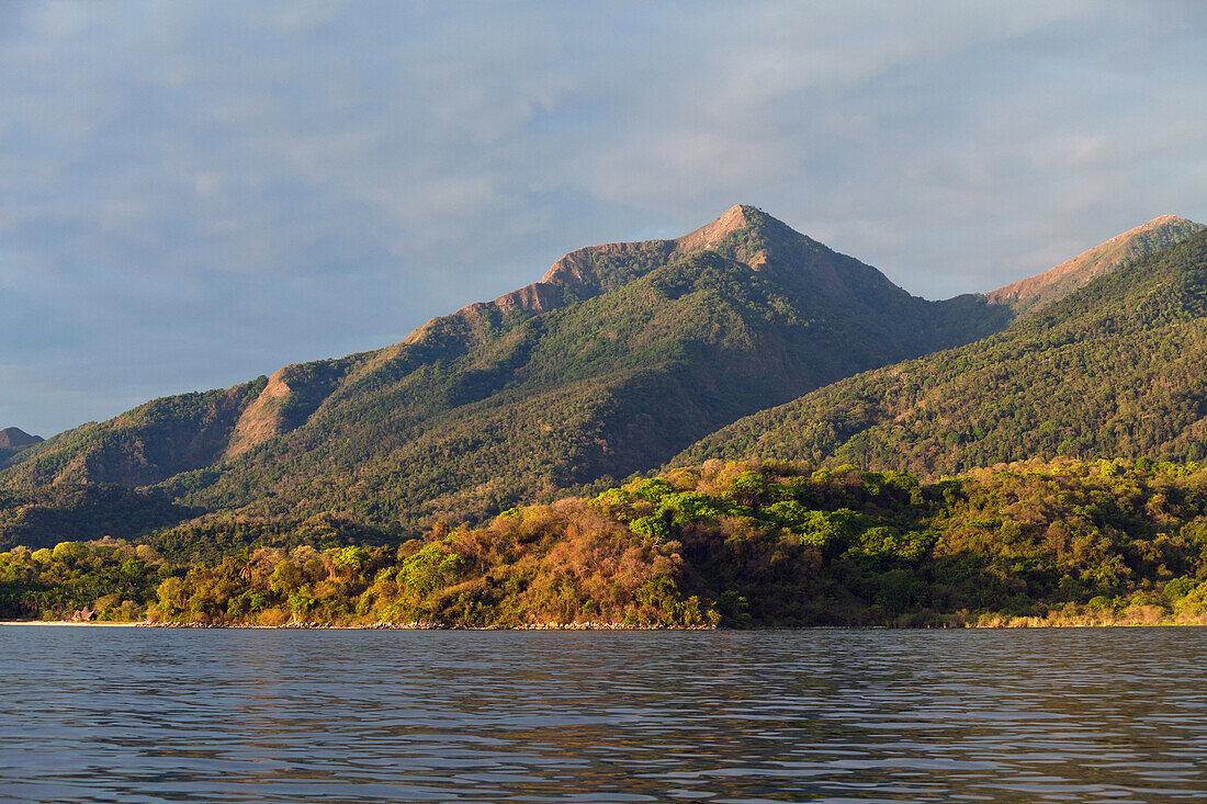 Mahale Mountains National Park, Lake Tanganjika, Tanzania, East Africa, Africa