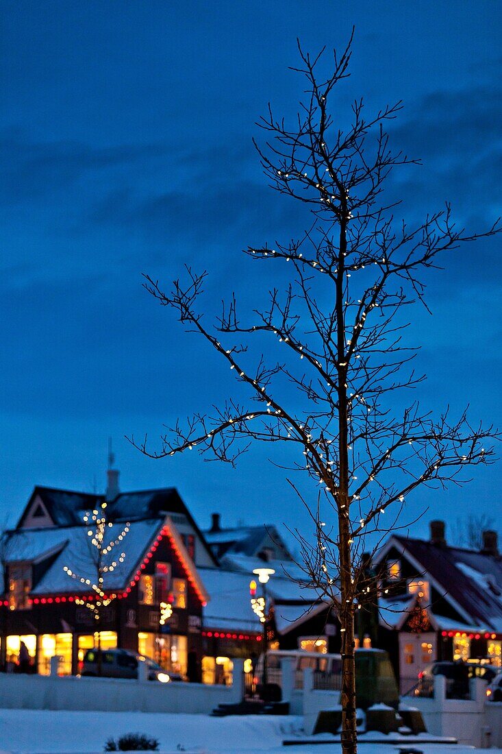 Christmas time-Laugavegar, the main shopping street of downtown Reykjavik, Iceland
