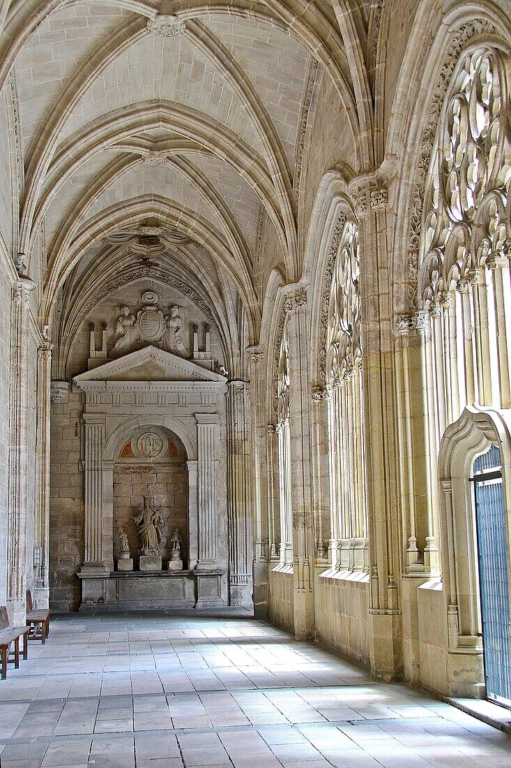 Clositer Segovia Cathedral, Segovia, Castile and León, Spain