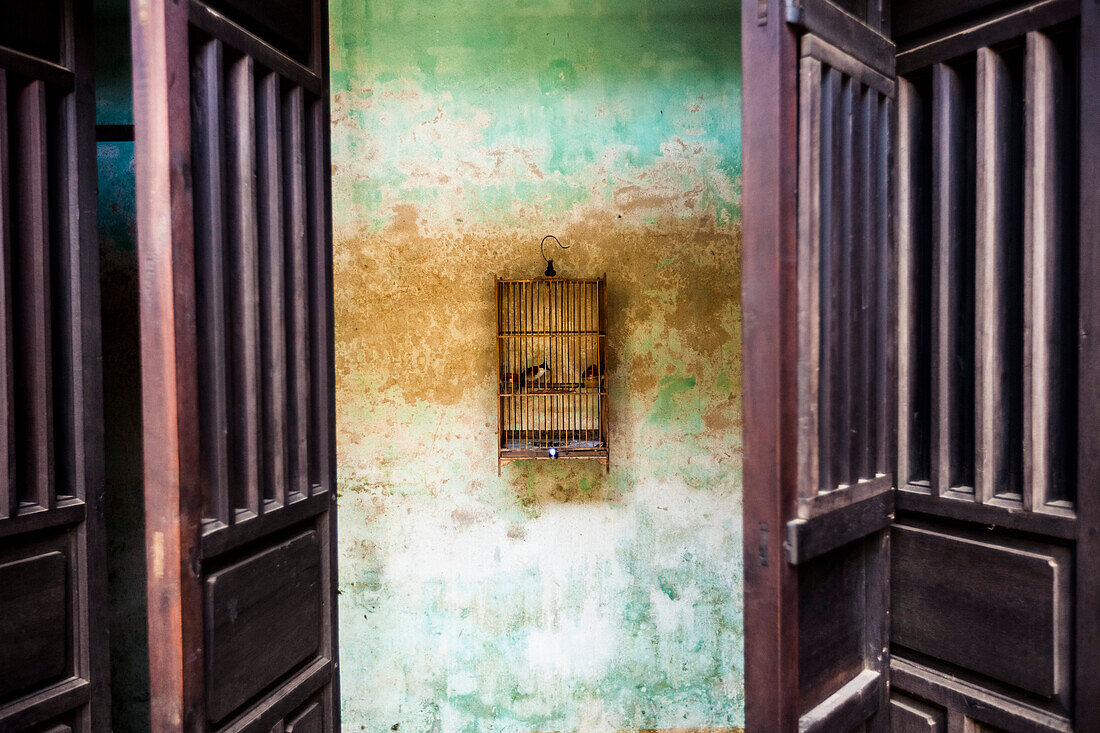 Caged Bird Hanging on Wall
