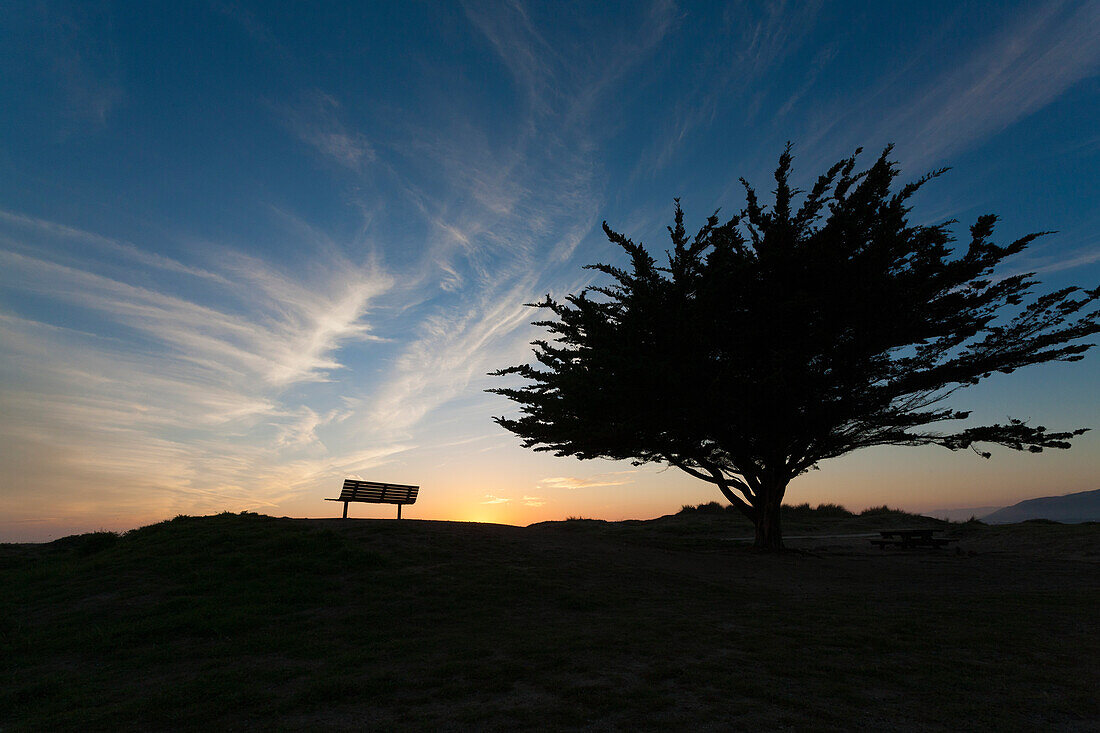 Tree and Bench at Sunset