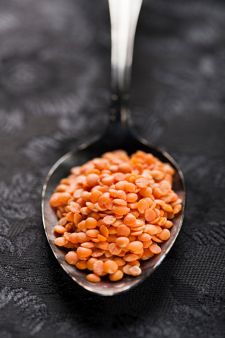 Orange Lentils on Spoon, Close Up