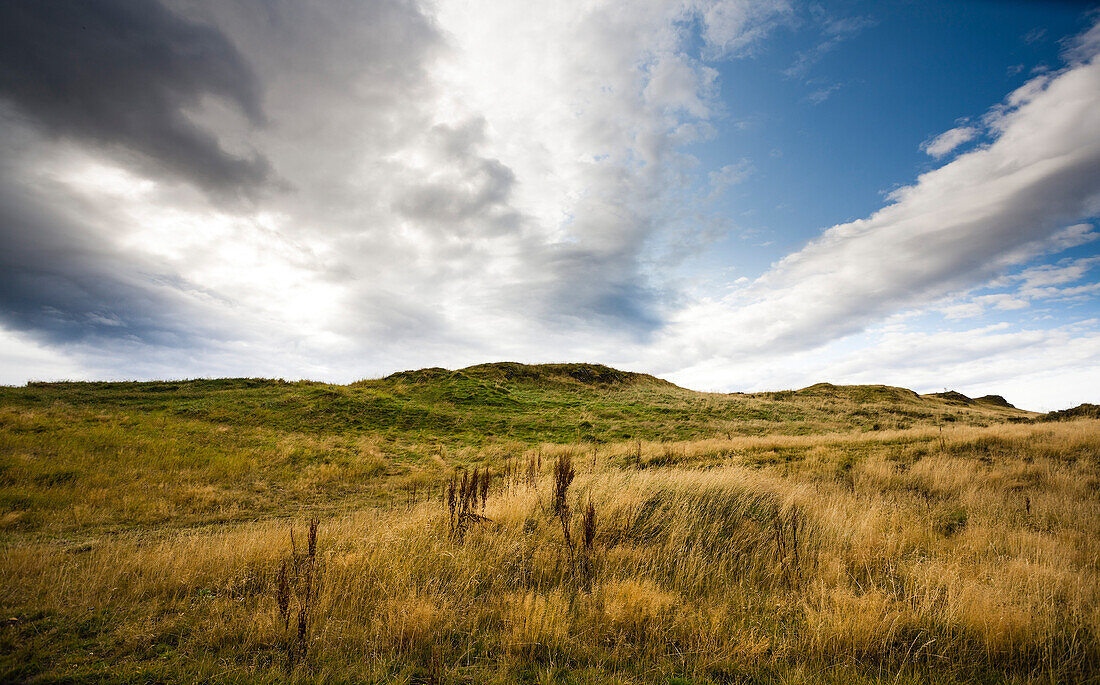 Hilly Landscape, Iceland