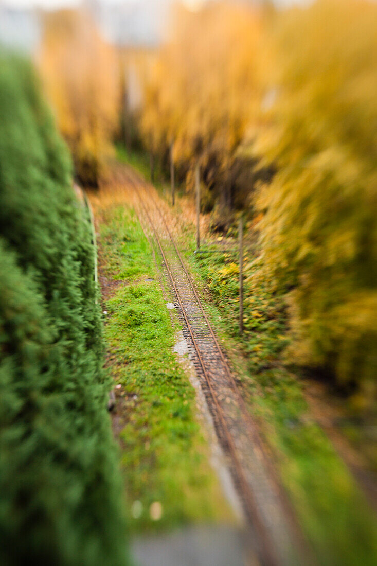 Train Tracks Through Autumn Trees