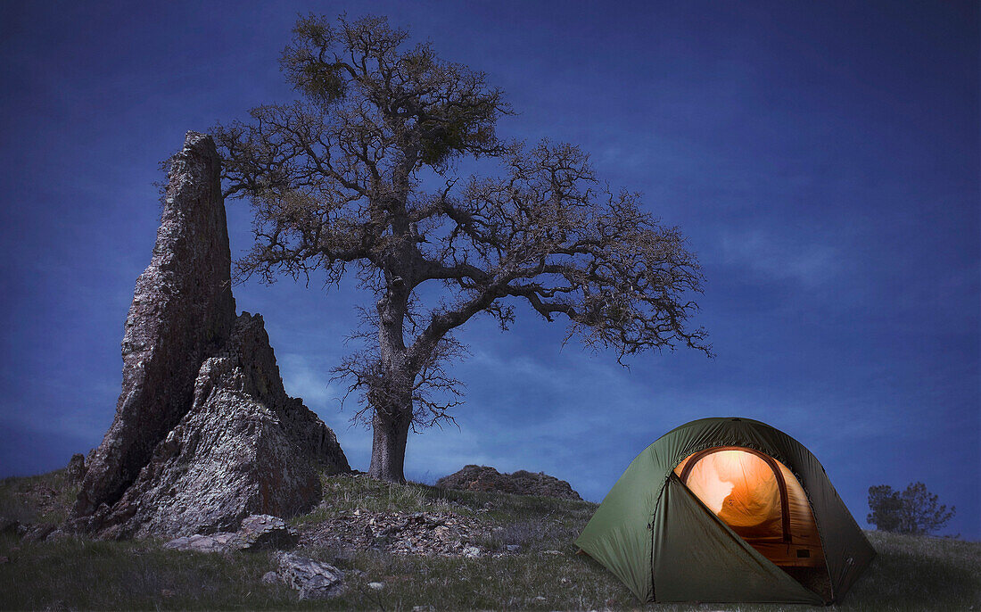 Person in Illuminated Tent on Hilltop Near Tree and Rock Formation at Night