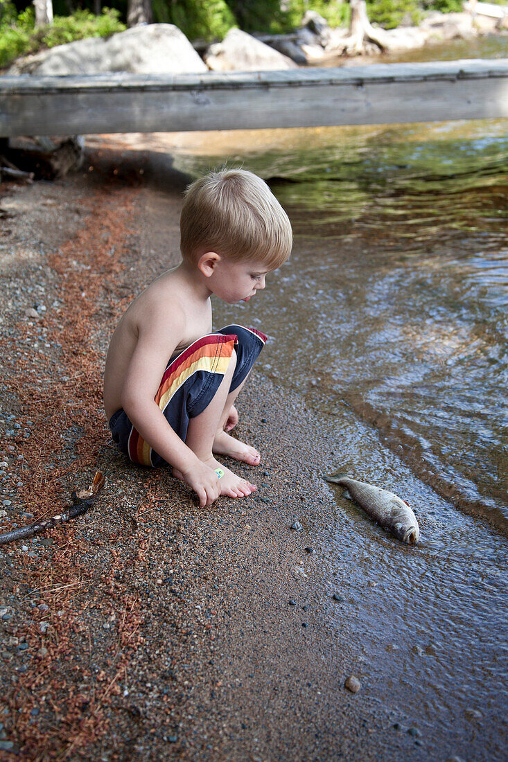 Young Boy Looking at Dead Fish at Edge of Lake