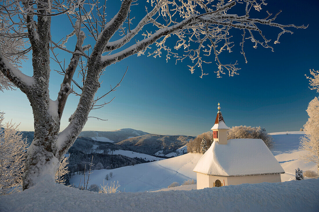 Schneebedeckte Bäume und Kapelle, Sonnenaufgang, Schauinsland, nahe Freiburg im Breisgau, Schwarzwald, Baden-Württemberg, Deutschland