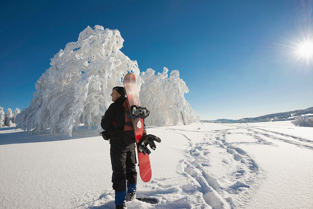 Snowshoe hiker with snowboard, snow-covered trees in background, Schauinsland, Freiburg im Breisgau, Black Forest, Baden-Wurttemberg, Germany