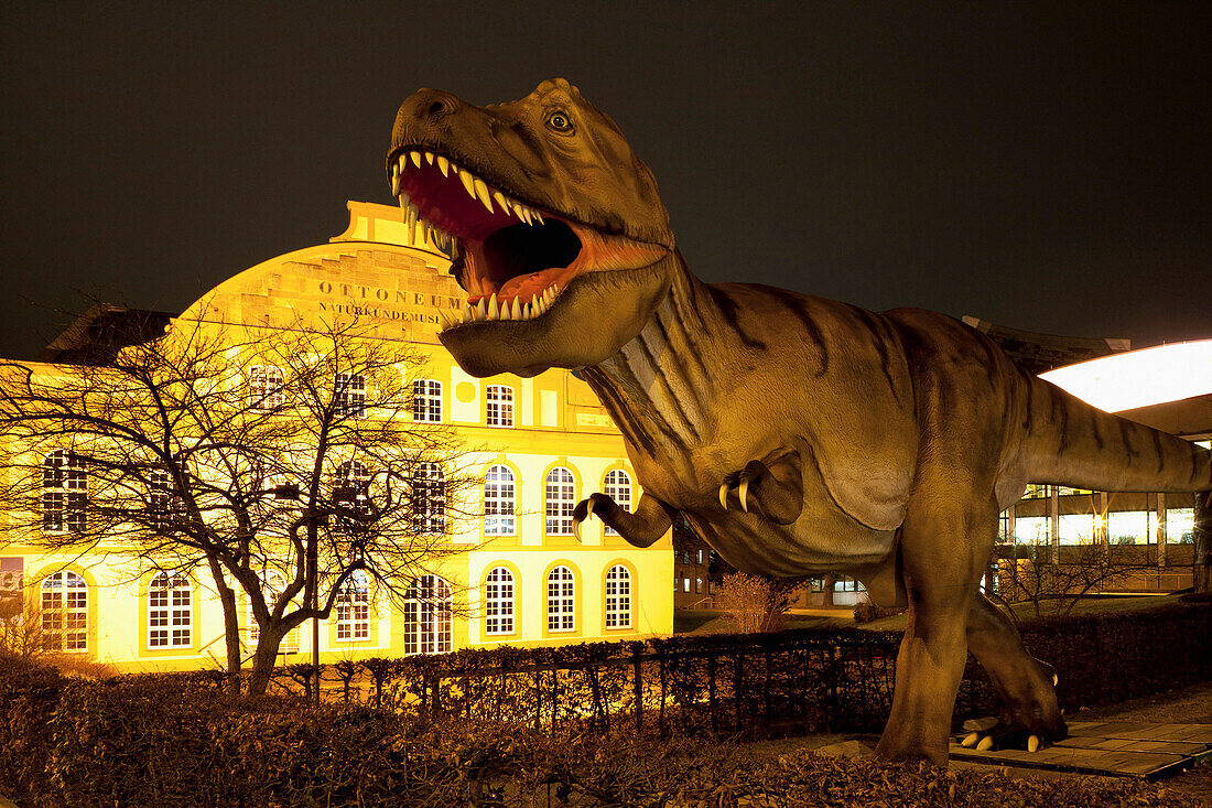 Ottoneum, natural history museum at night, Steinweg, Kassel, Hesse, Germany, Europe