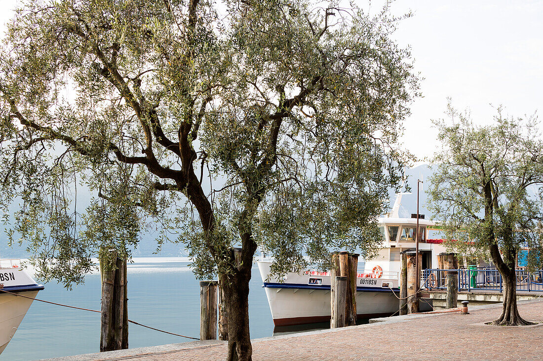 Harbour in Riva del Garda, Lake Garda, Trentino, Italy, Europe