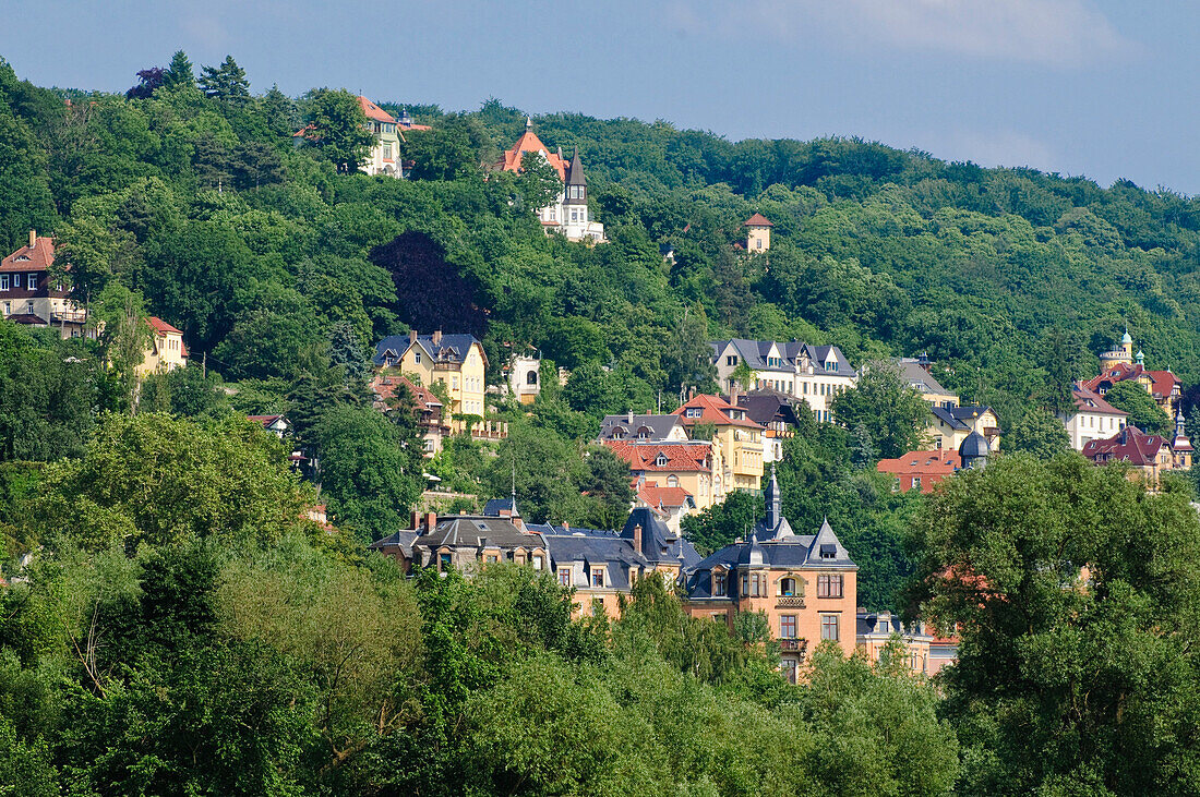 Villas on a hill at Loschwitz district, Dresden, Saxony, Germany, Europe