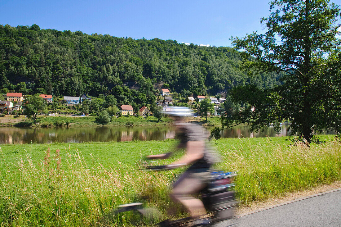 Cyclist on Elbe bicycle path, Bad Schandau, Elbe Sandstone mountains, Saxon Switzerland, Saxony, Germany, Europe