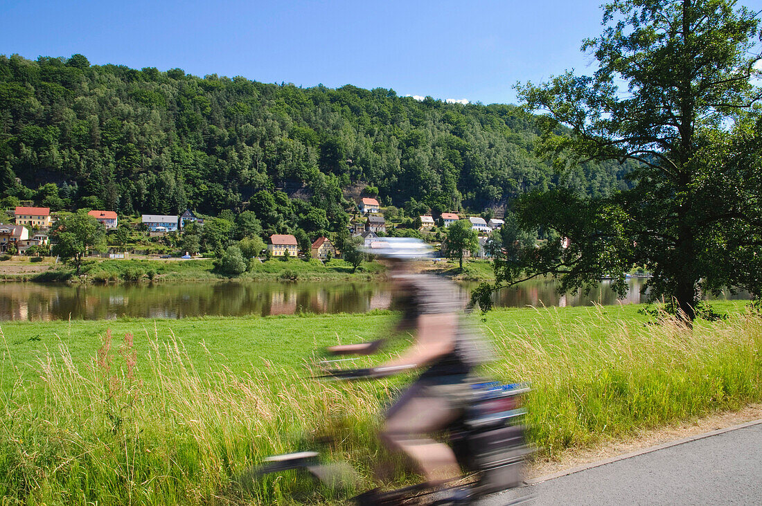 Radfahrer auf dem Elberadweg, Bad Schandau, Elbsandsteingebirge, Sächsische Schweiz, Sachsen, Deutschland, Europa