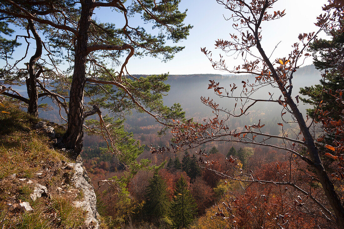 Blick von der Felsformation Hangender Stein, bei Hechingen, Schwäbische Alb, Baden-Württemberg, Deutschland