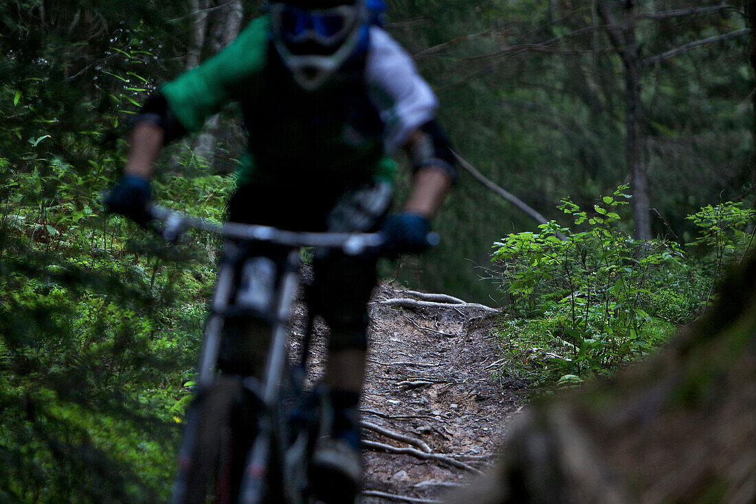 Freeride mountain biker off-roading, Chatel, Haute-Savoie, France