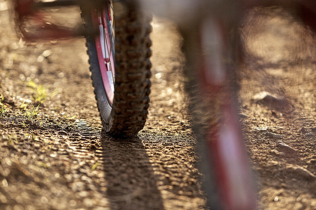 Downhill Mountainbike im Gelände, Morzine, Haute-Savoie, Frankreich