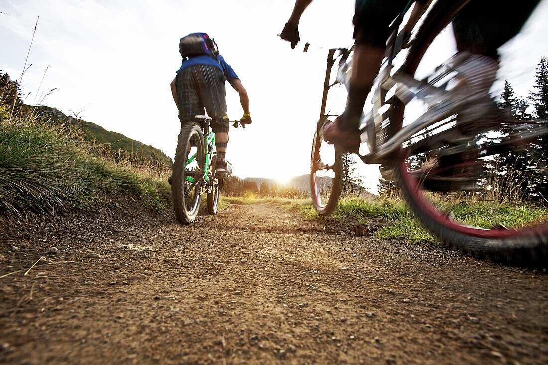 Two downhill mountain bikers off-roading, Morzine, Haute-Savoie, France