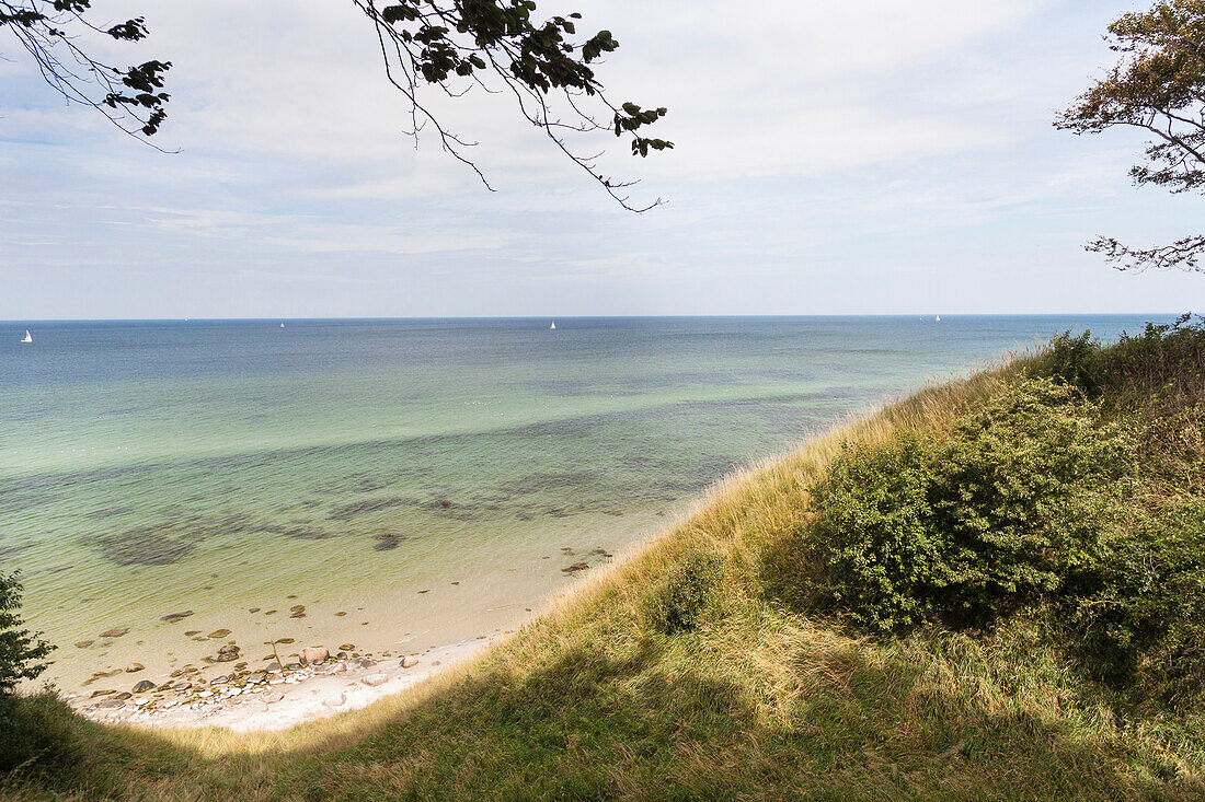 View over the sea, steep coast, beach, grass, Hoellenliet, Wittow Peninsula, Island of Ruegen, Mecklenburg West-Pomerania, Germany