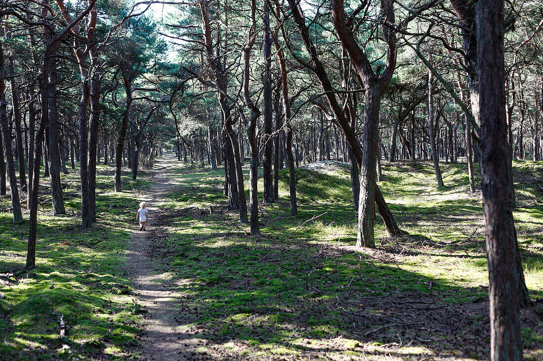 Junge auf einem Waldweg, Schaabe, Insel Rügen, Mecklenburg-Vorpommern, Deutschland