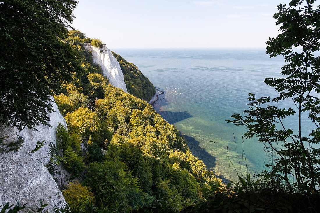 View over Baltic sea, Koenigsstuhl, Stubnitz, Jasmund Peninsula, Island of Ruegen, Mecklenburg West-Pomerania, Germany