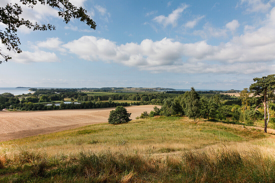 Blick über Landschaft am Meer, Wiesen und Felder, Ostseebad Göhren, Insel Rügen, Mecklenburg-Vorpommern, Deutschland