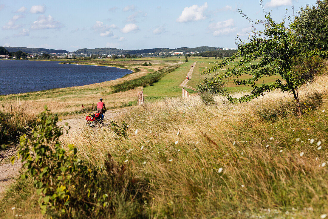 Cycling track along Baltic Sea bay, Seedorf, Island of Ruegen, Mecklenburg-Western Pomerania, Germany