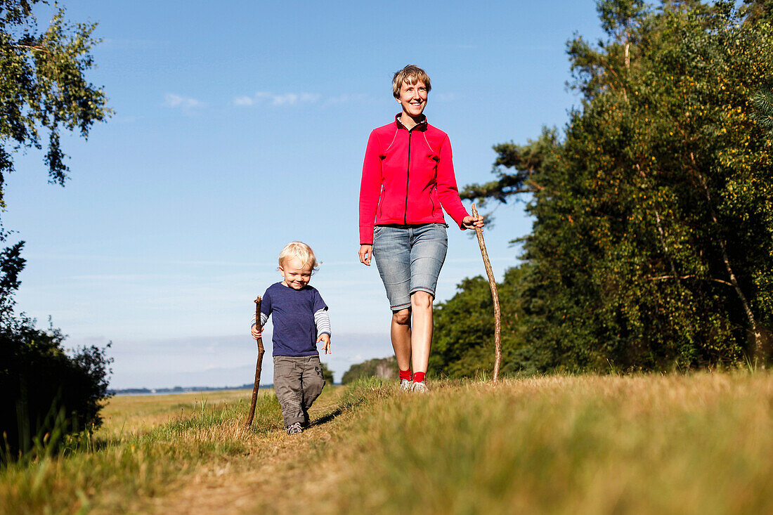 Mutter und Sohn (2 Jahre) wandern, Haide, Ummanz, Insel Rügen, Mecklenburg-Vorpommern, Deutschland