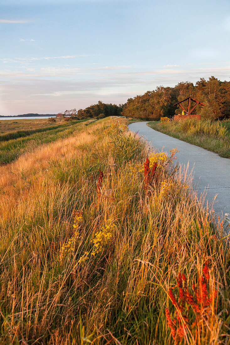 Path along a bodden, Haide, Ummanz, Island of Ruegen, Mecklenburg-Western Pomerania, Germany