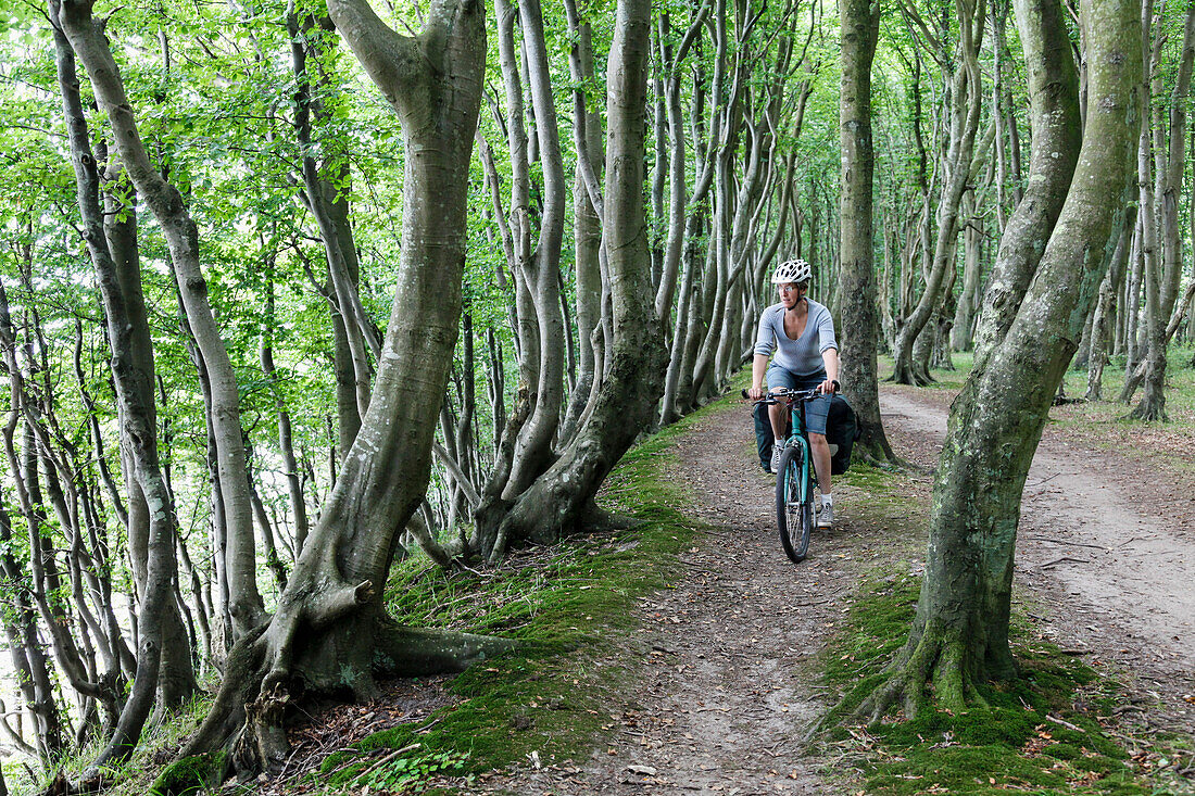 Woman cycling through a forest along coast, Wittow Peninsula, Island of Ruegen, Mecklenburg-Western Pomerania, Germany