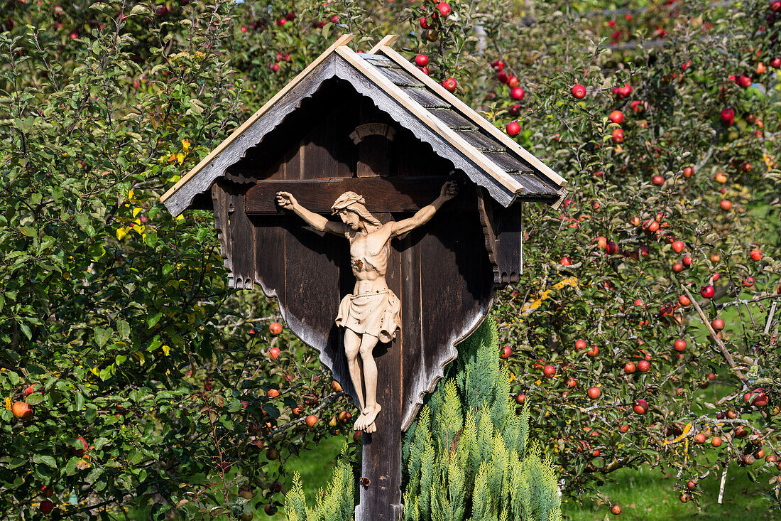 Kruzifix zwischen Apfelbäumen im Herbst, Oberbayern, Bayern, Deutschland