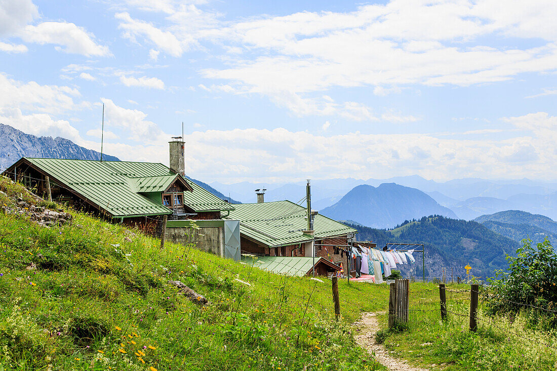 Eingang zur Vorderkaiserfeldenhütte, Inntal, Bergblumen im Sommer, Kaiserschützensteig, Kaisertal, Kufstein, Tirol, Österreich