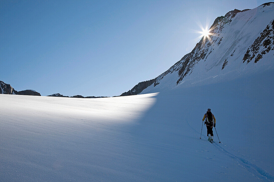 Ski tourer ascending to the Hintere Schwaerze Northface, Martin Busch hut, Oetztal Alps, Oetztal, Tyrol, Austria