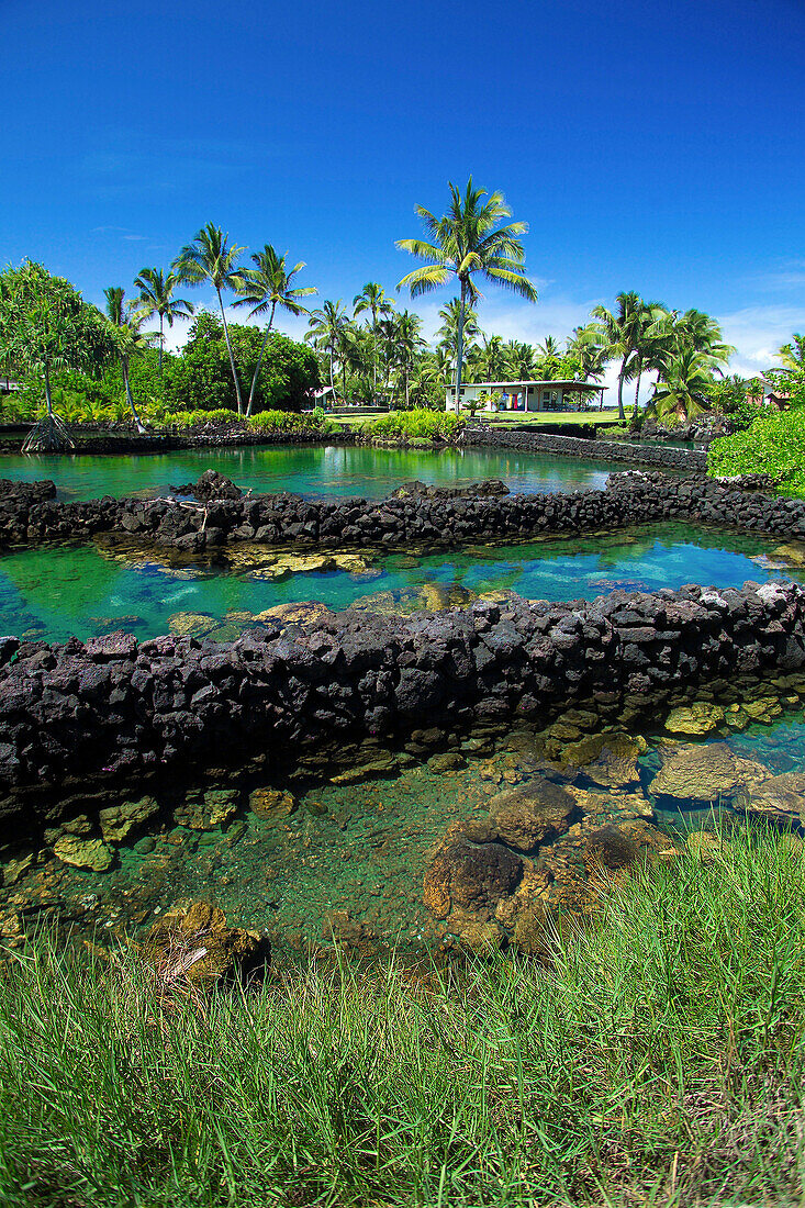 Hawaii, Big Island, Puna, Kapoho fish pond.