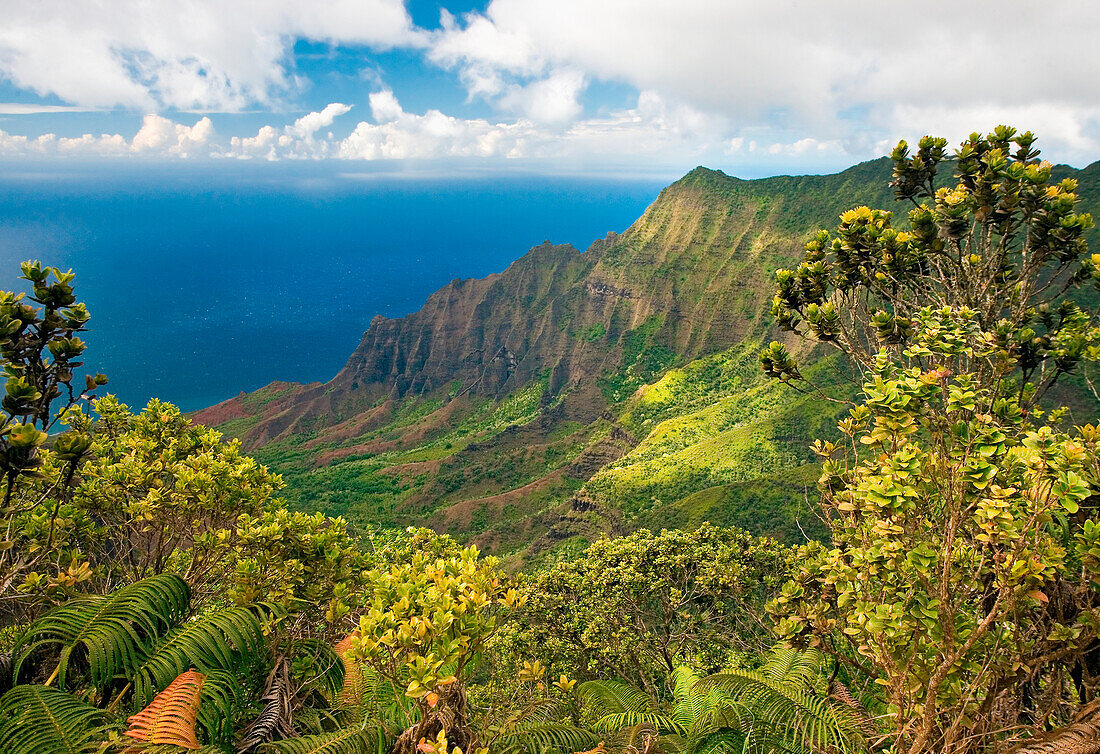 Hawaii, Kauai, Na Pali Coast, Kalalau Valley, View from Kokee State Park.