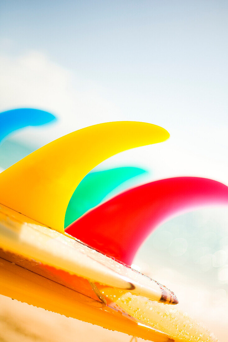 Colorful surfboards fins, bright sunny sky in background.