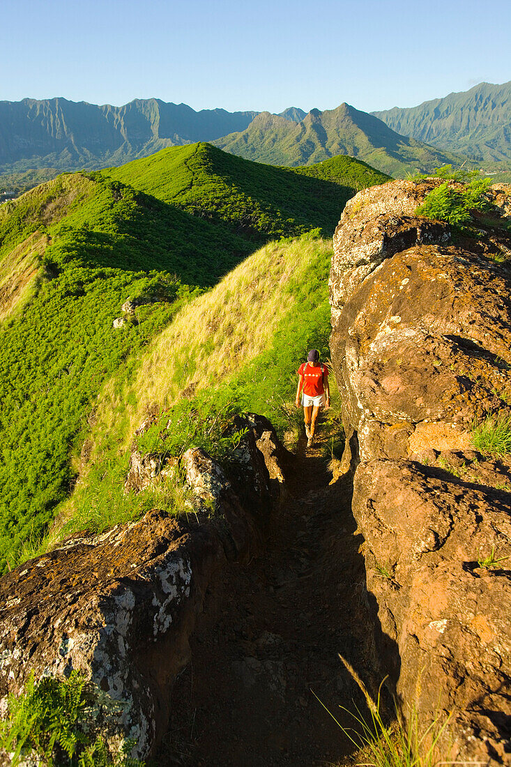 Hawaii, Oahu, East Oahu, Lanikai, Kailua, Woman hiking.